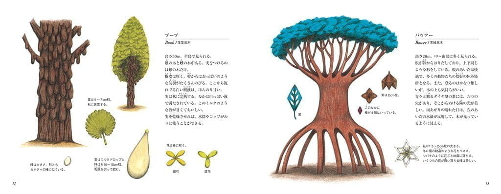 絵本「ノーダリニッチ島 K・スギャーマ博士の植物図鑑」の一コマ