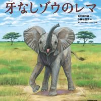 絵本「牙なしゾウのレマ」の表紙（サムネイル）