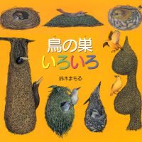 絵本「鳥の巣いろいろ」の表紙（サムネイル）