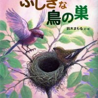 絵本「ふしぎな鳥の巣」の表紙（サムネイル）