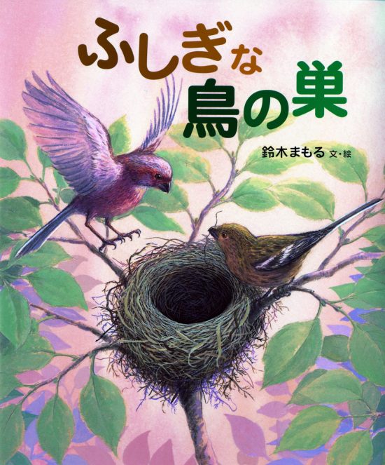 絵本「ふしぎな鳥の巣」の表紙（全体把握用）（中サイズ）