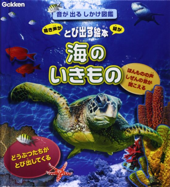 絵本「音が出るしかけ図鑑 海のいきもの」の表紙（全体把握用）（中サイズ）