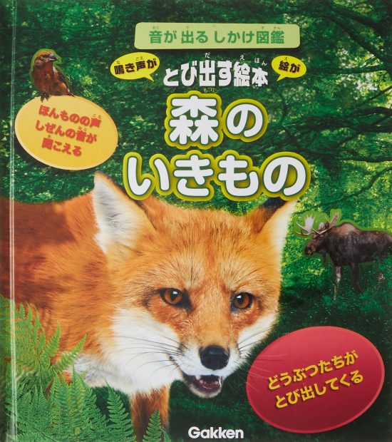 絵本「森のいきもの」の表紙（全体把握用）（中サイズ）