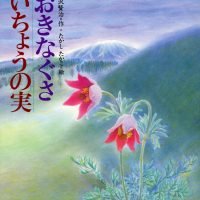 絵本「おきなぐさ・いちょうの実」の表紙（サムネイル）