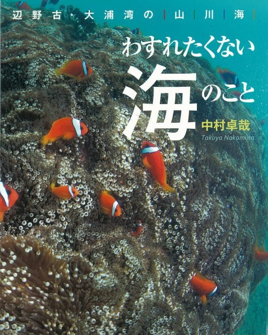 絵本「わすれたくない海のこと」の表紙（全体把握用）（中サイズ）