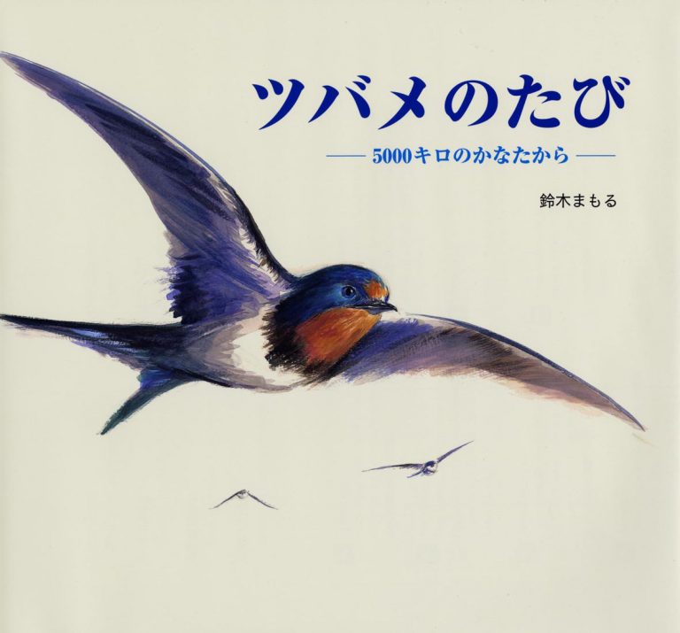 絵本「ツバメのたび」の表紙（詳細確認用）（中サイズ）