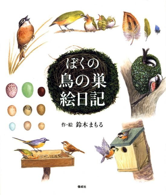 絵本「ぼくの鳥の巣絵日記」の表紙（全体把握用）（中サイズ）