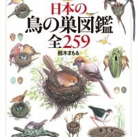 絵本「日本の鳥の巣図鑑全２５９」の表紙（サムネイル）