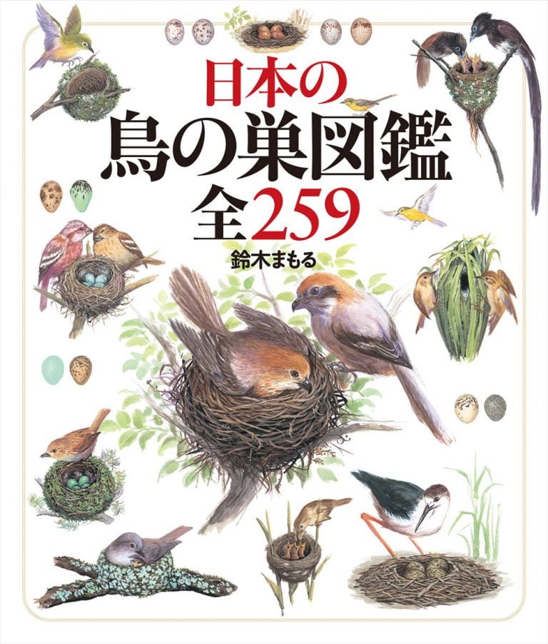 絵本「日本の鳥の巣図鑑全２５９」の表紙（詳細確認用）（中サイズ）