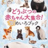 絵本「どうぶつの赤ちゃん大集合！ めちゃカワめいろブック」の表紙（サムネイル）