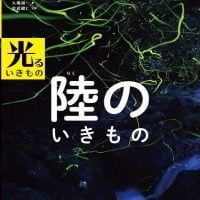 絵本「光るいきもの 陸のいきもの」の表紙（サムネイル）