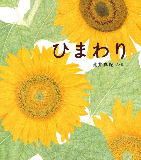 絵本「ひまわり」の表紙（全体把握用）（中サイズ）