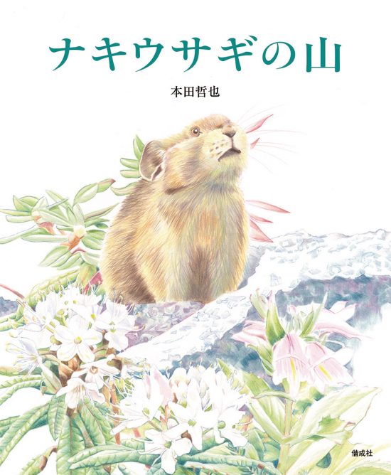 絵本「ナキウサギの山」の表紙（中サイズ）