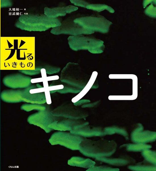 絵本「光るいきもの キノコ」の表紙（全体把握用）（中サイズ）