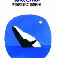 絵本「クジラちゃん、みて、みて、ぼく、とぶよ」の表紙（サムネイル）