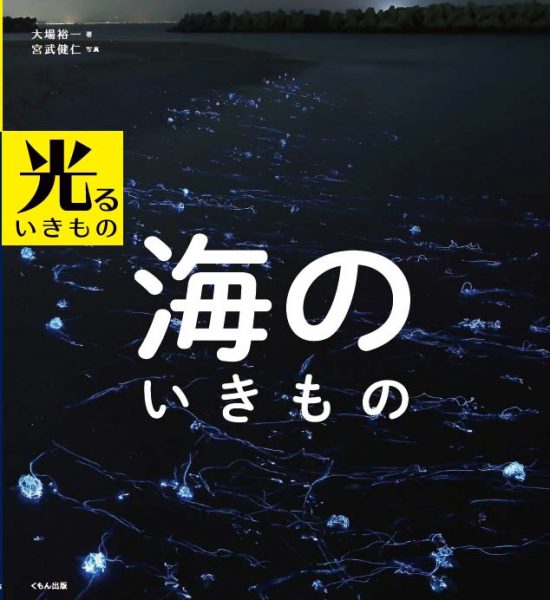 絵本「光るいきもの 海のいきもの」の表紙（全体把握用）（中サイズ）