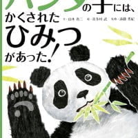 絵本「パンダの手にはかくされたひみつがあった！」の表紙（サムネイル）