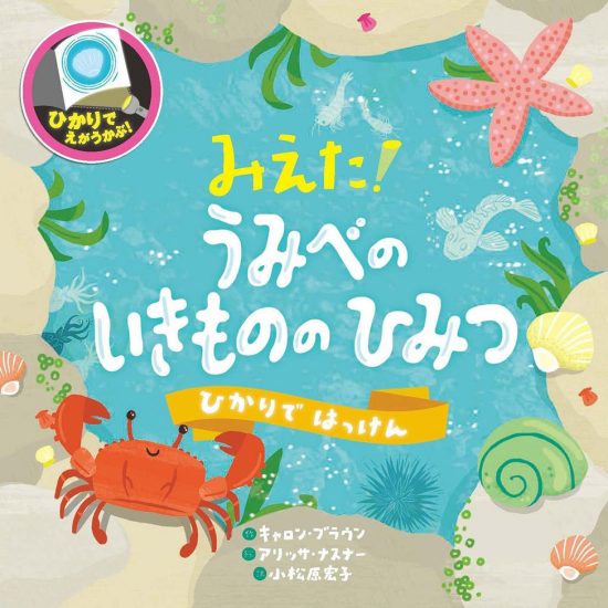 絵本「みえた！ うみべのいきもののひみつ」の表紙（中サイズ）