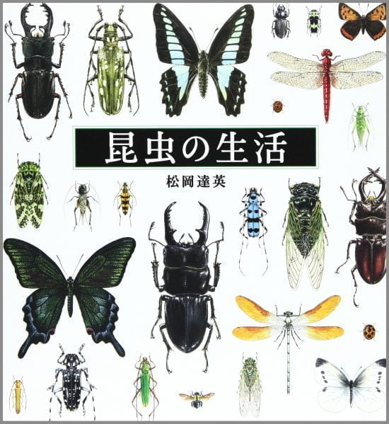 絵本 昆虫の生活 の内容紹介 あらすじ 絵本屋ピクトブック