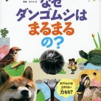 絵本「なぜダンゴムシはまるまるの？」の表紙（サムネイル）