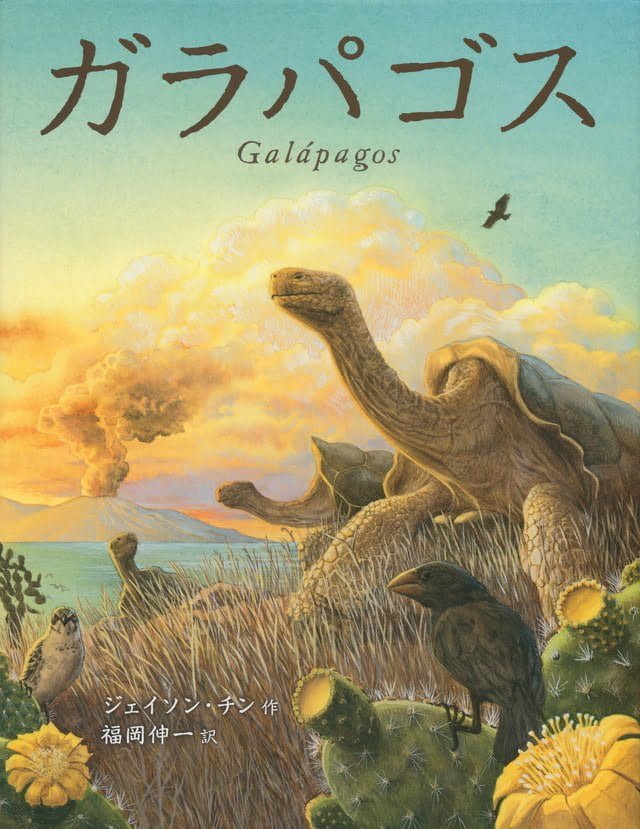 絵本「ガラパゴス」の表紙（詳細確認用）（中サイズ）