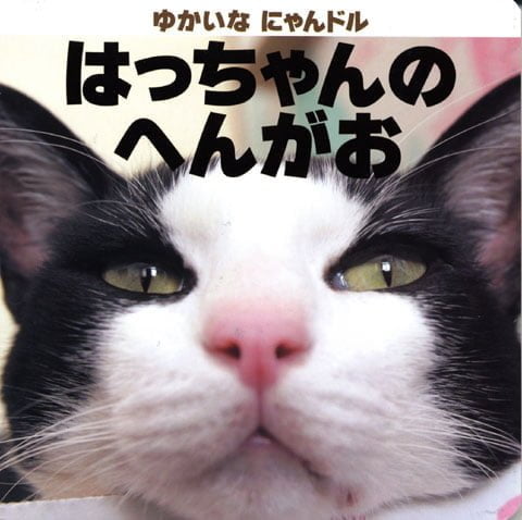 絵本「ゆかいな にゃんドル はっちゃんの へんがお」の表紙（詳細確認用）（中サイズ）