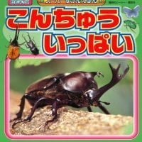 絵本「こんちゅう いっぱい」の表紙（サムネイル）