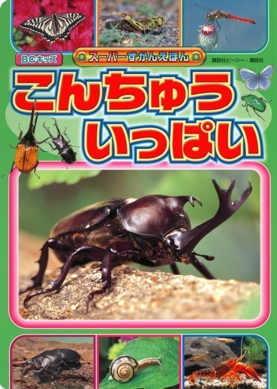 絵本「こんちゅう いっぱい」の表紙（全体把握用）（中サイズ）