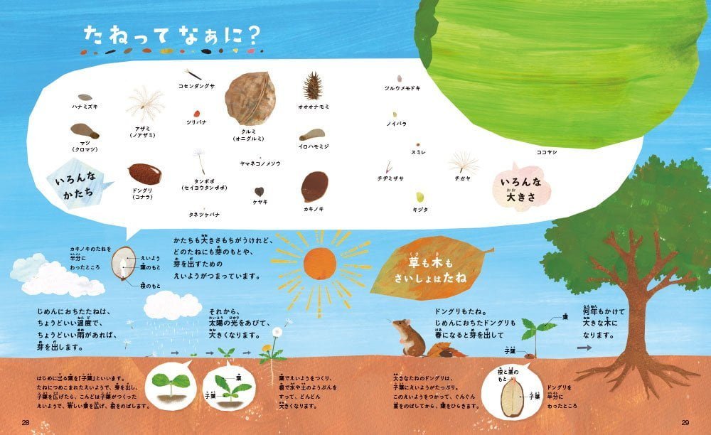 絵本「タンポポのたね どうしてとんでいくの?」の一コマ3