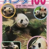 絵本「パンダ１００」の表紙（サムネイル）