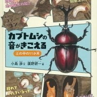 絵本「カブトムシの音がきこえる」の表紙（サムネイル）