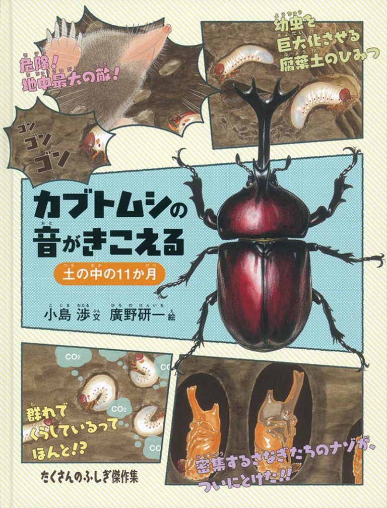 絵本「カブトムシの音がきこえる」の表紙（詳細確認用）（中サイズ）