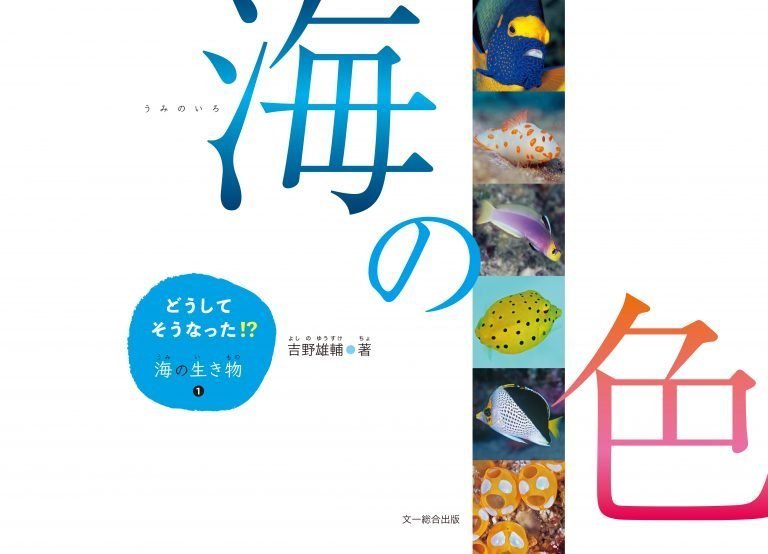 絵本「海の色」の表紙（詳細確認用）（中サイズ）