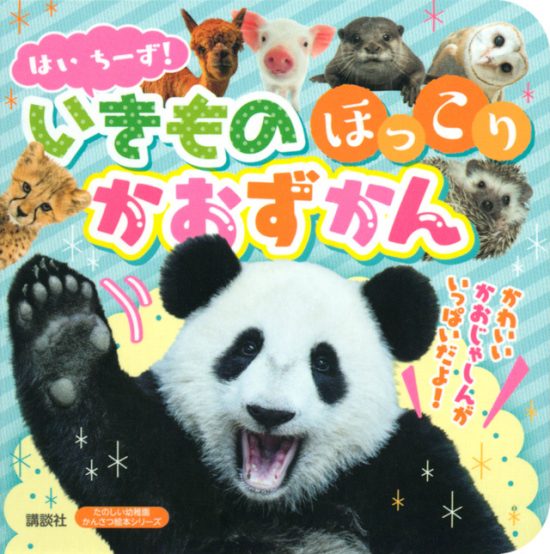 絵本「はい ちーず！ いきもの ほっこり かおずかん」の表紙（全体把握用）（中サイズ）