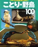 絵本「ことり・野鳥１００」の表紙（サムネイル）