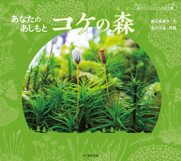 絵本「あなたの あしもと コケの森」の表紙（詳細確認用）（中サイズ）