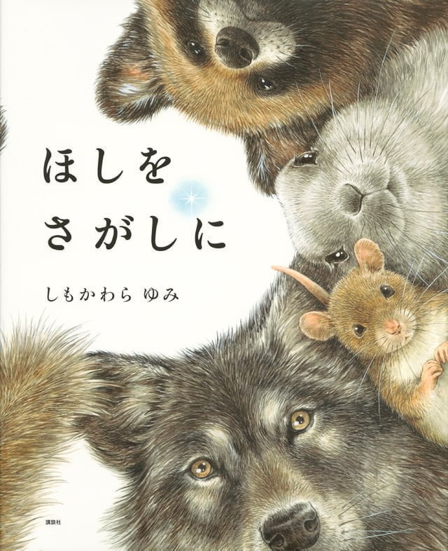 絵本「ほしをさがしに」の表紙（詳細確認用）（中サイズ）