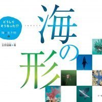 絵本「海の形」の表紙（サムネイル）