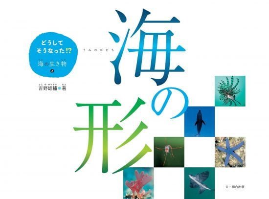 絵本「海の形」の表紙（全体把握用）（中サイズ）