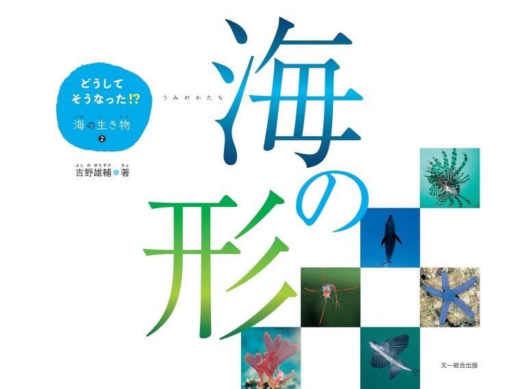 絵本「海の形」の表紙（詳細確認用）（中サイズ）