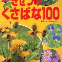 絵本「別巻 しょくぶつアルバム（１） きせつのくさばな１００」の表紙（サムネイル）