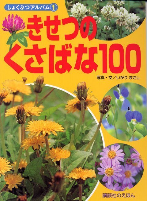 絵本「別巻 しょくぶつアルバム（１） きせつのくさばな１００」の表紙（詳細確認用）（中サイズ）