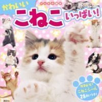 絵本「かわいい こねこ いっぱい！」の表紙（サムネイル）