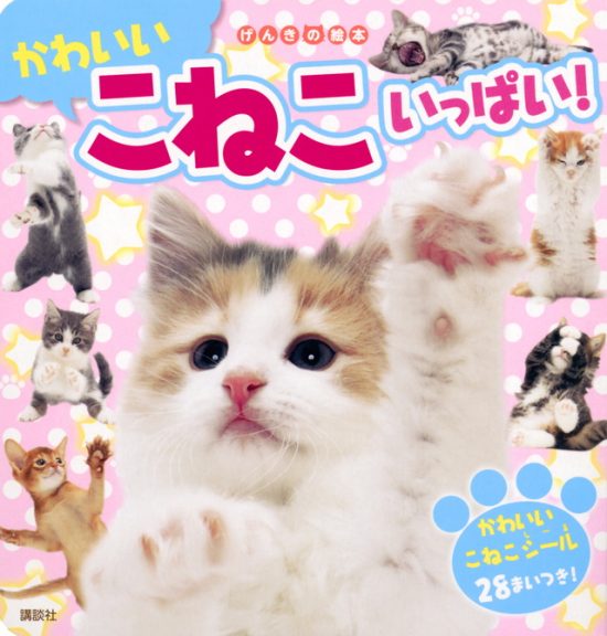 絵本「かわいい こねこ いっぱい！」の表紙（全体把握用）（中サイズ）