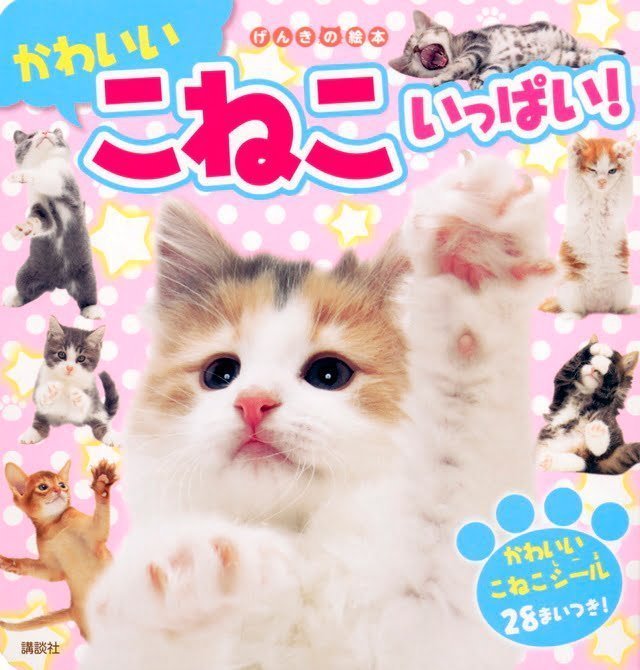 絵本「かわいい こねこ いっぱい！」の表紙（詳細確認用）（中サイズ）