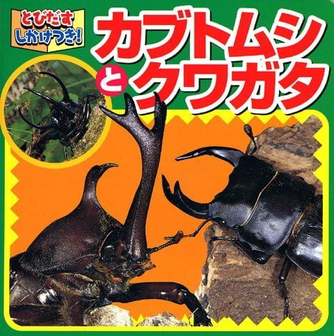 絵本「カブトムシとクワガタ」の表紙（中サイズ）