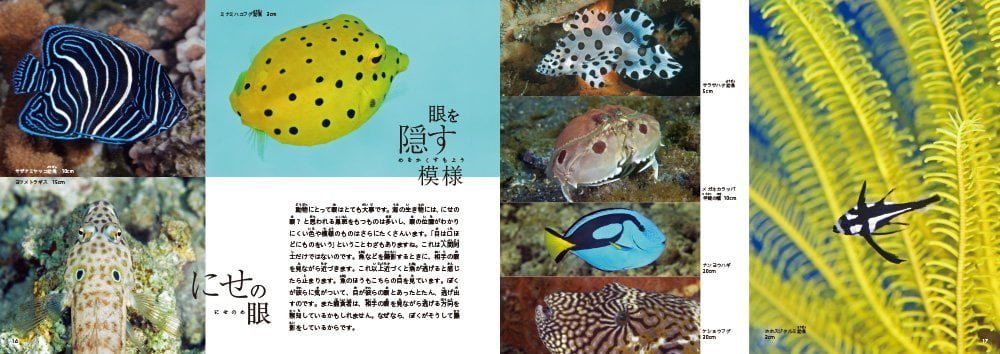 絵本「どうしてそうなった!? 海の生き物1 海の色」の一コマ3