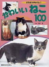 絵本「かわいいねこ１００」の表紙（詳細確認用）（中サイズ）