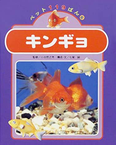 絵本「キンギョ」の表紙（詳細確認用）（中サイズ）