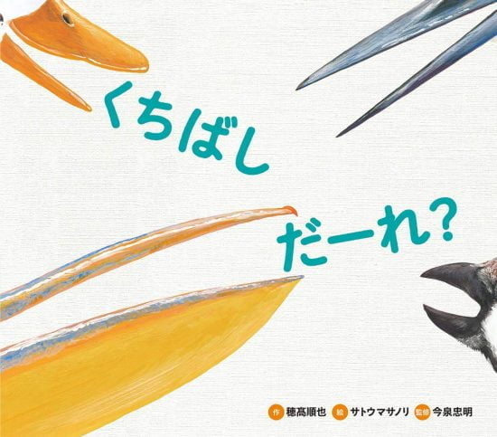 絵本「くちばし だーれ？」の表紙（中サイズ）